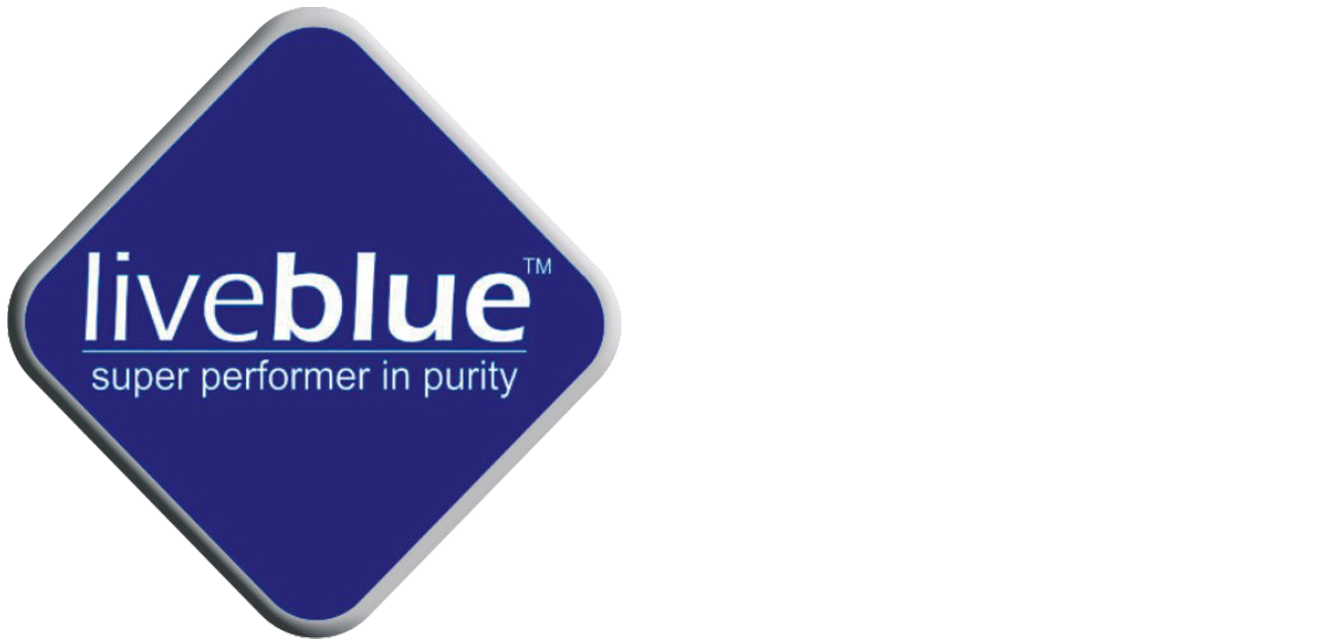 Porto Website Template